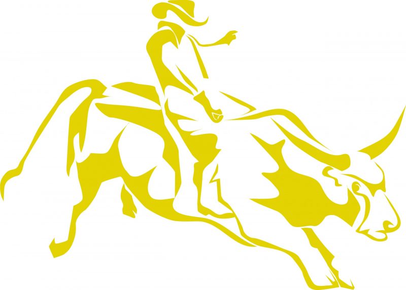 Mehr über den Artikel erfahren Wie man den Goldbullen am besten reitet