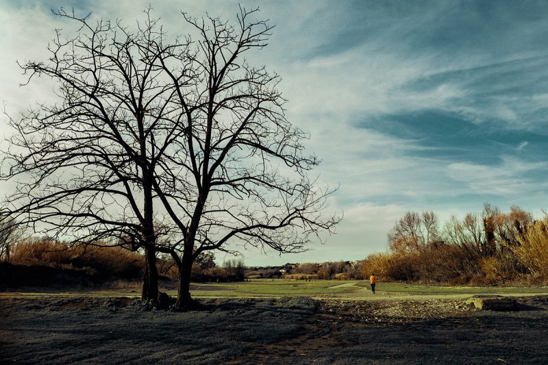 Mehr über den Artikel erfahren Herbst des Missvergnügens