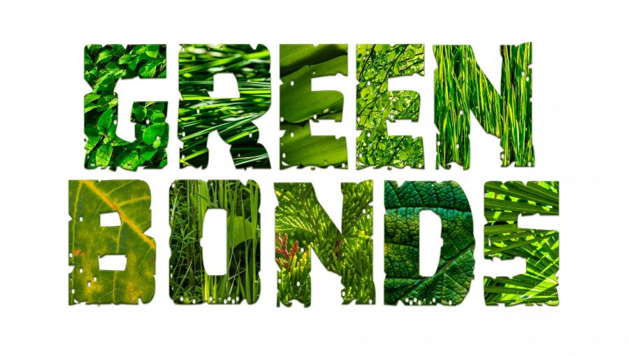 Mehr über den Artikel erfahren Green Bonds – Zinsen mit gutem Gewissen