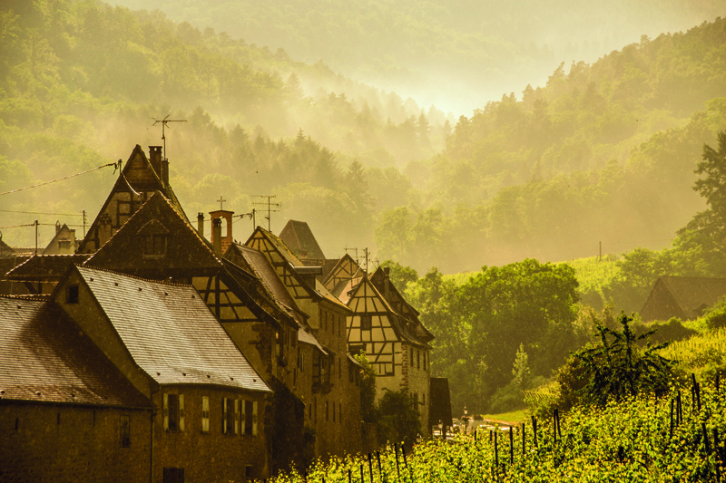 Mehr über den Artikel erfahren Elsass