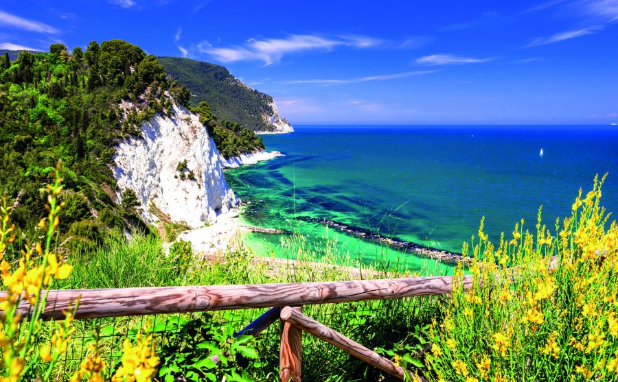 Mehr über den Artikel erfahren Die Marken