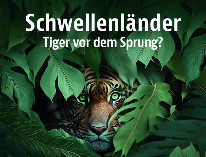 Ein attraktives Sextett aus Schwellenländeraktien