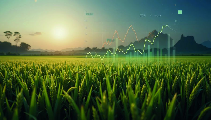 Mehr über den Artikel erfahren Agraraktien