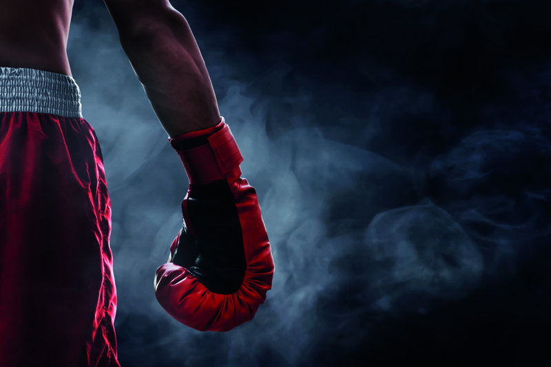 Mehr über den Artikel erfahren Hidden-Software-Champions