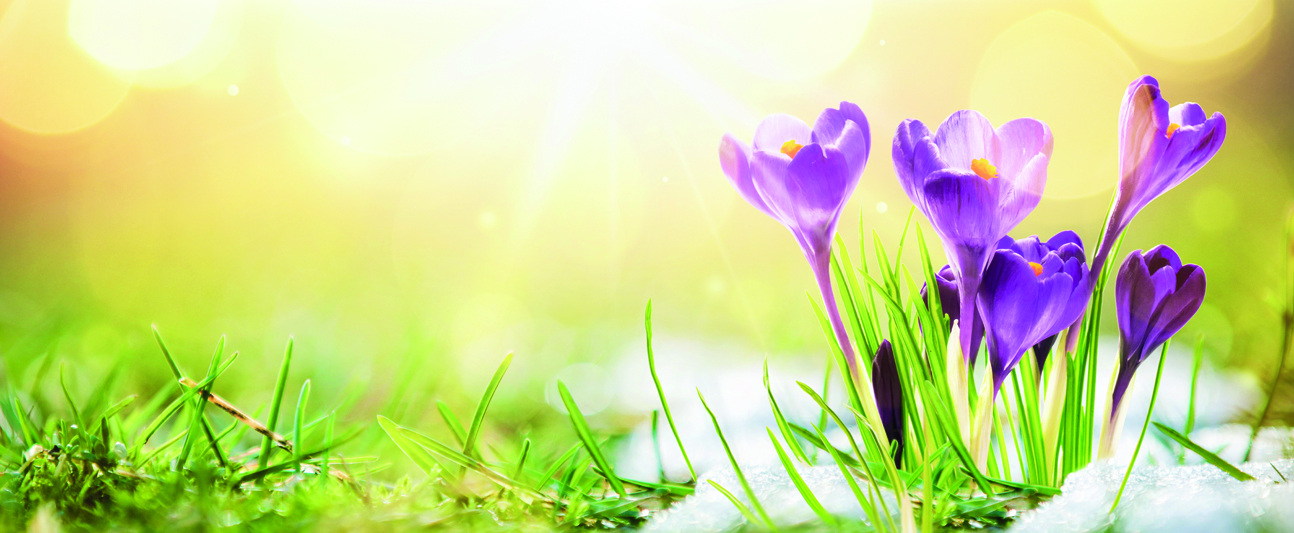 Mehr über den Artikel erfahren Aktien-Musterdepot 05/2023 – Der Frühjahrsrally hinterher